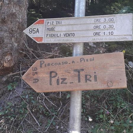 Casa Vacanza Pineta Malonno Exteriér fotografie
