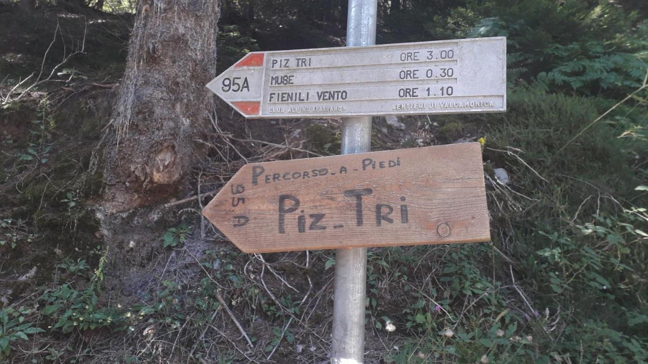 Casa Vacanza Pineta Malonno Exteriér fotografie