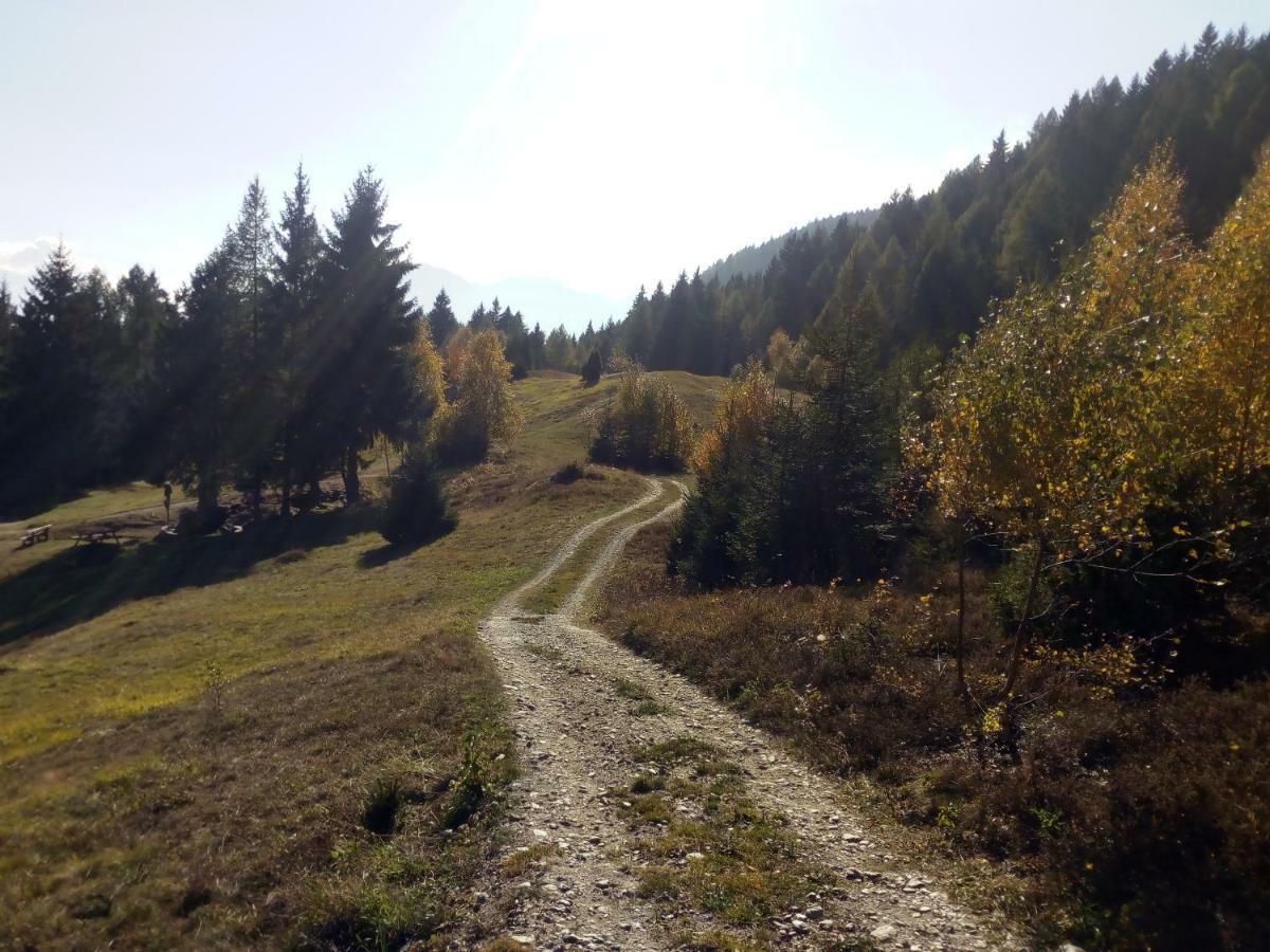 Casa Vacanza Pineta Malonno Exteriér fotografie